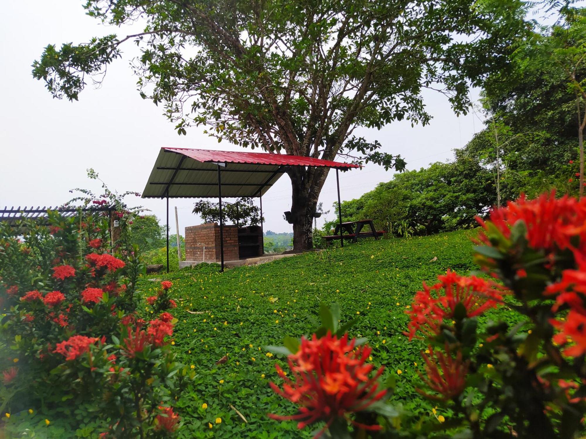 Alojamiento Rural Entre El Llano Y La Selva ซานโฮเซเดลกัวเบียเร ภายนอก รูปภาพ